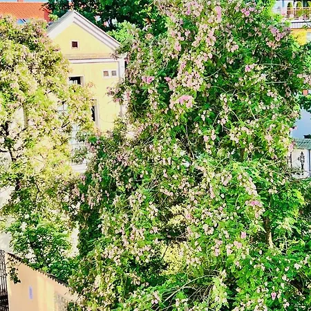 Super Old Town Klaipėda