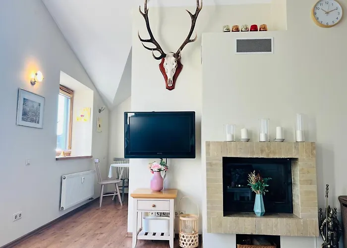 公寓 Super Old Town