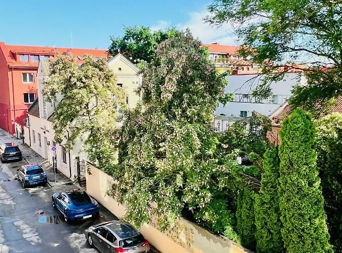 Super Old Town 公寓