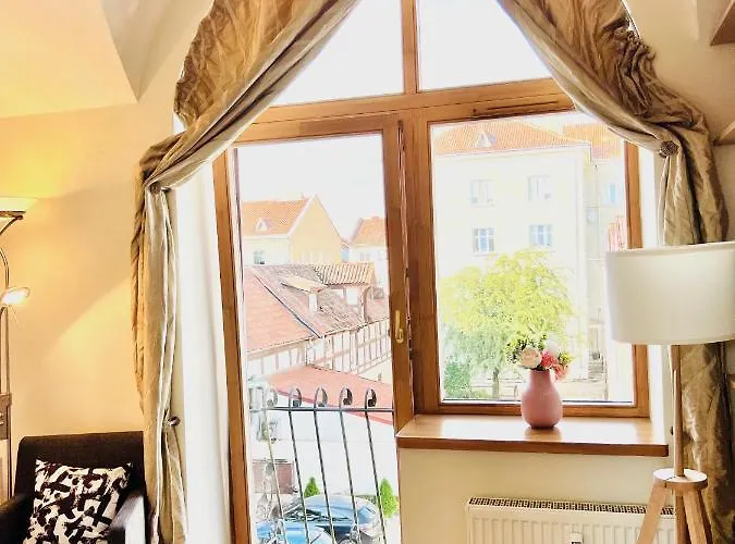 公寓 Super Old Town 克莱佩达